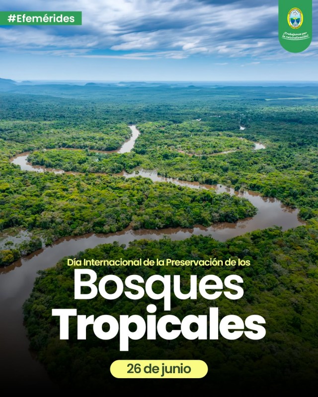 26 de junio - D&iacute;a Internacional de la Preservaci&oacute;n de los Bosques Tropicales
