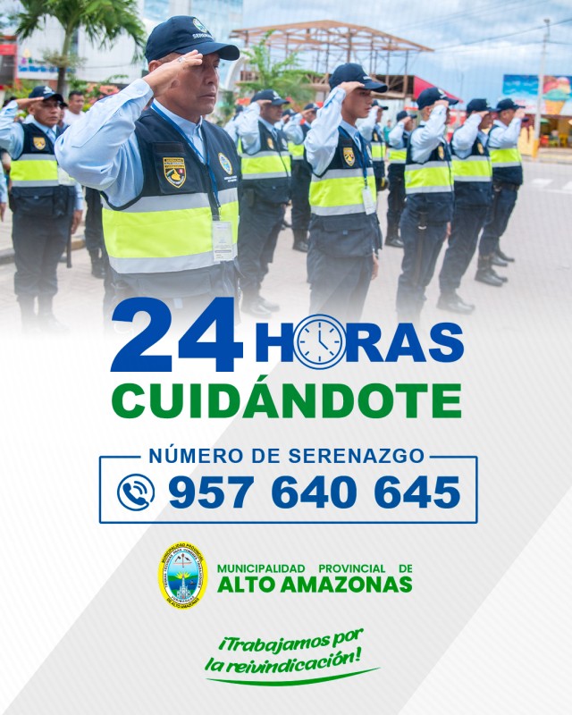 SEGURIDAD CIUDADANA